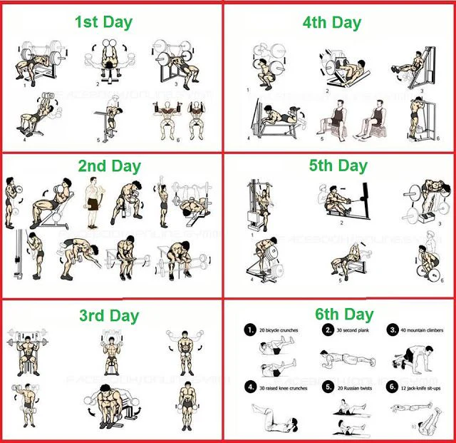 6_day_gym_workout_schedule_with_pictures2